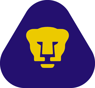 pumas unam flag